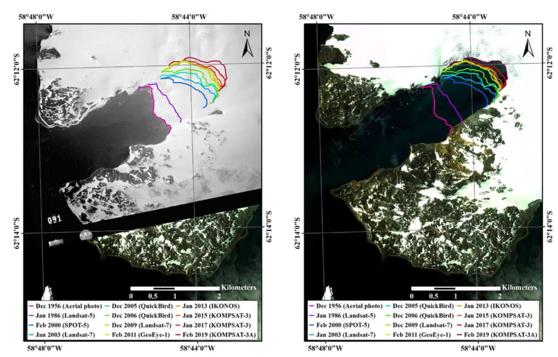 Retreat of Marian Cove glacier: glacier termini overlaid on remote sensing images acquired in Dec 1956 (left) and Feb 2019 (right)