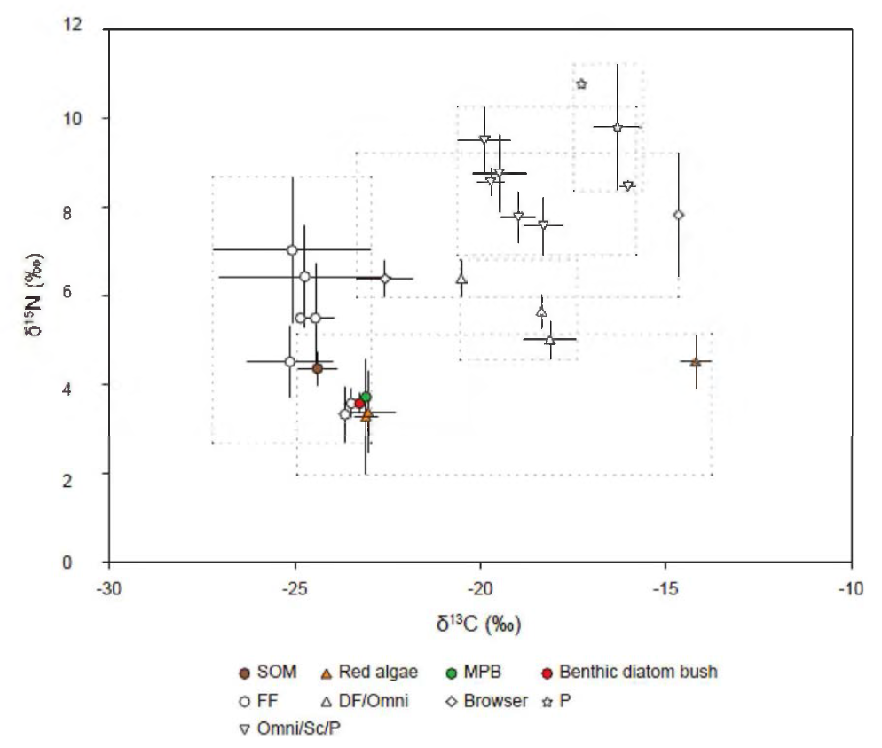 A dual isotope plot of δ13C and δ15N values for megabenthic consumers and basal food sources in their diet, collected in Marian Cove. Adapted from Ha et al., 2019