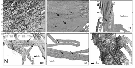 Geomorphic features on relief-shaded, bathymetric maps. Locations of the features are shown in Fig. 1. Black arrows indicate the glacial features. For classification criteria, please refer to Table 2. North is to the top of the page, as indicated in (D). (A) Drumlin swarm (previously mapped by Gilbert et al., 2003), highly attenuated with some superposition, trend to the northwest, in Greenpeace Trough, Larsen A embayment (no exaggeration, shaded from the northwest); (B) grounding zone lobes and MSGLs, trend to the southeast, in the Larsen A embayment (no exaggeration, shaded from the northwest); (C) MSGLs in the Prince Gustav Channel, trend to the south (no exaggeration, shaded from the northwest); (D) flutings showing a curving pattern to the southeast, north of Robertson Island in the Larsen A embayment (exaggeration of 25, shaded from the northeast); (E) iceberg furrows, scours, and grooves, east of the Larsen B embayment (no exaggeration, shaded from the northwest); (F) unidentified erosional features and MSGLs in Scar Inlet (exaggeration of 45, shaded from above)