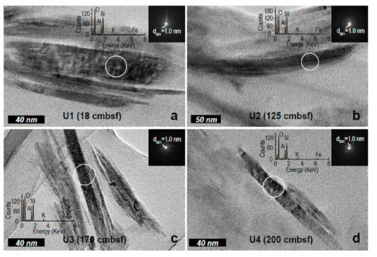 Representative TEM lattice-fringe images and insets of corresponding SAED patterns and EDS from depths of (a) U1 (18 cmbsf), (b) U2 (125 cmbsf), (c) U3 (170 cmbsf), and (d) U4 (200 cmbsf) of the EAP13-GC17 core