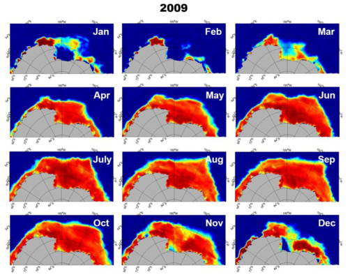 2009년 로스해의 월별 해빙발달