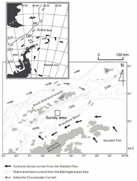 General circulation and hydrothermal survey zone in the Bransfield Strait. WBB, CBB and EBB denote the western, central and eastern Bransfield basins, respectively. AP=Antarctic Peninsula; BSS=Bellingshausen Sea; DI=Deception Island; DP=Drake Passage; EI=Elephant Island; KGI=King George Island; SSI=South Shetland Islands; SSR=South Shetland Ridge