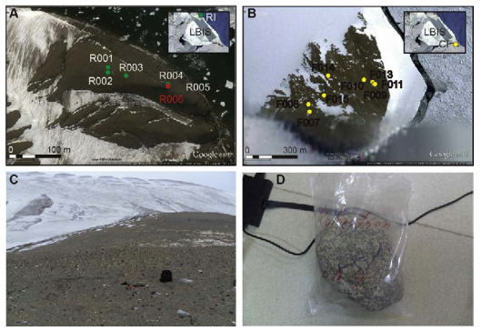 노출 연대 측정을 위한 in situ 10Be 샘플 위치. 로버트슨 섬과 프람 곶의 erratic boulder들을 이용하였다. A: 로버트슨 섬 (RI). B: 프람 곶 (CF). C: 빙하가 후퇴한 후 드러난 육지에서 샘플링하였다. 로버트슨 섬. D: C 지역에서 채취한 화강암 erratic boulder R004의 확대 사진으로 이 지역의 원마도가 낮은 변성 퇴적암의 쇄설물과 큰 차이가 있음