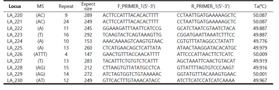 (계속) 퉁가리의 microsatellite 후보군 유전자 자위의 primer 염기서열 및 motif 정보