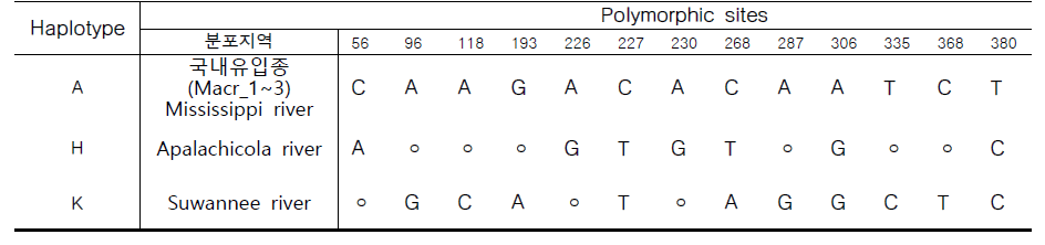 악어거북 미토콘드리아 control region 유전자 haplotype의 polymorphic sites