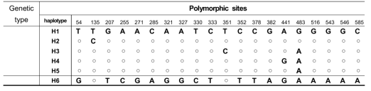 늑대거북 미토콘드리아 COI 유전자 haplotype의 polymorphic sites