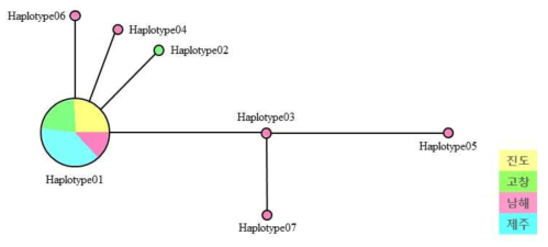 푸른아시아실잠자리 COI 유전자 haplotype을 이용한 Network
