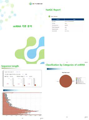 Basic Analysis Report