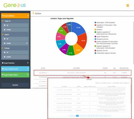 GO Term 결과