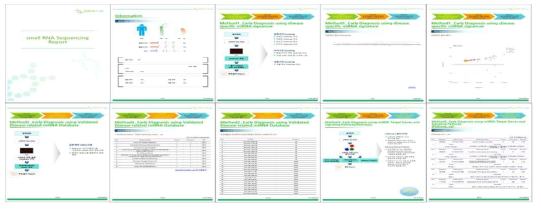 Clinical Analysis Report