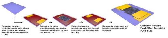 탄소나노튜브를 이용한 전계효과 트랜지스터 제작 공정 모식도