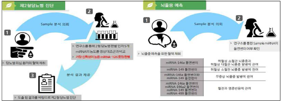 혈중 miRNA 바이오마커를 이용한 질병의 진단과 예방 유형