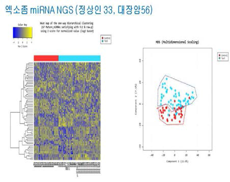 환자군과 정상군의 miRNA 발현패턴