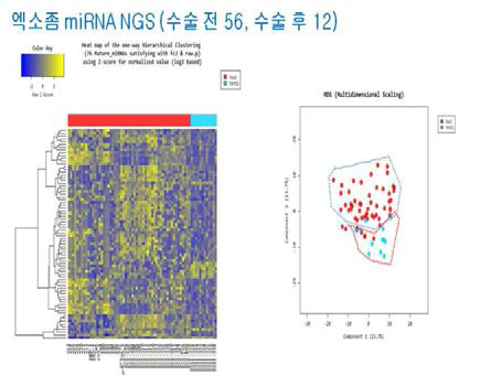 수술전/후 miRNA 발현패턴