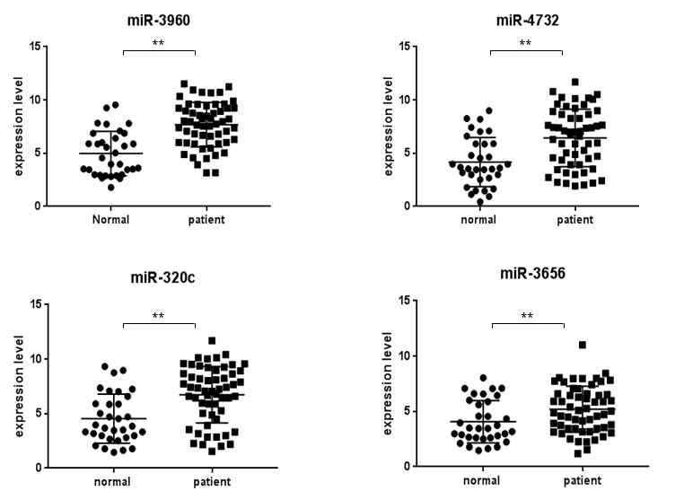 RT-qPCR 방법을 통한 miRNA 발현패턴 검증