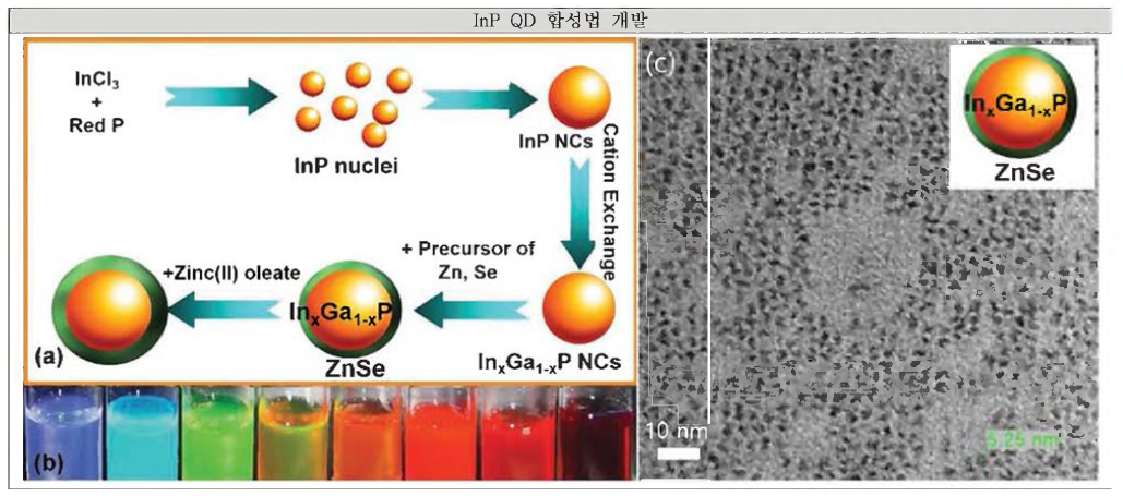 InP 양자점 대량 합성법