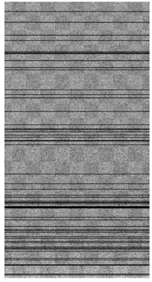 Bise image noise pattern