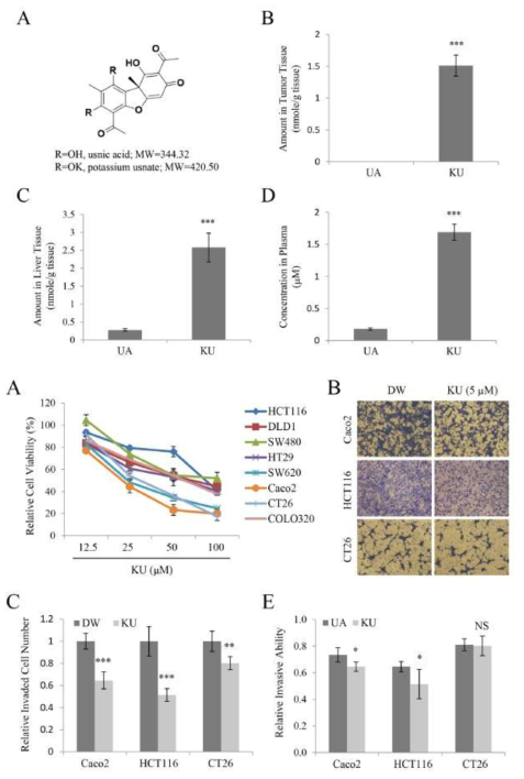 Potassium usnate의 경구투여 생체이용율 및 대장암세포 in vitro 항암활성