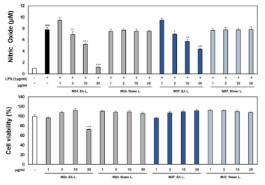 선발된 2종의 지의류분획물의 RAW264.7세포의 NO 생성 억제에 미치는 영향. 배양된 세포를 96well plate에 분주하고 24시간 배양 후 시료를 처리하고 24시간 뒤 NO의 생성량 및 세포의 생존을 측정