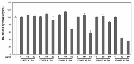 선별한 6종의 지의류 추출물의 HL-60에서의 세포 독성효과