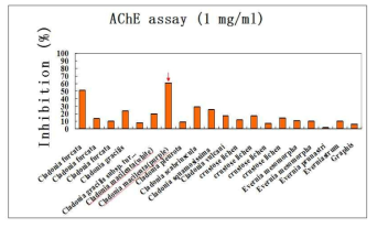 Acetylcholinesterase(AChE) 억제 효과를 보이는 Cladoia macilenta(biruloquinone)