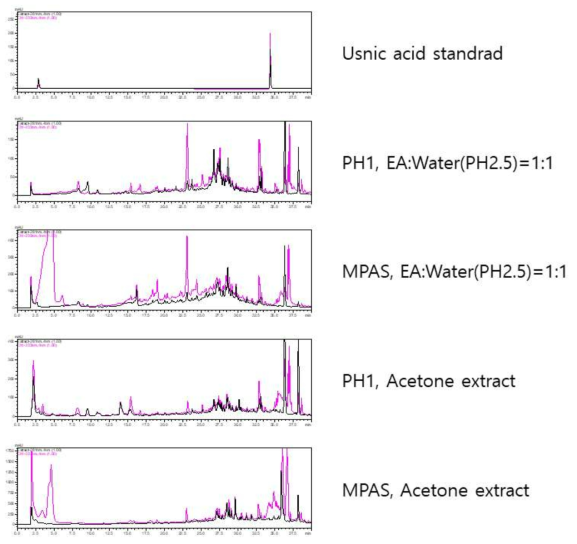 Usnic acid 생합성 유전자 MPAS가 도입된 형질전환체와 야생형(WT)을 쌀 고체배지에서 21일간 배양한 후, 배양체의 acetone 추출물을 HPLC 실험한 결과