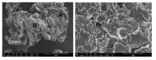 SEM images of P-KA catalyst