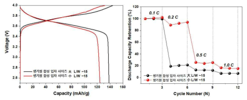NCM811 입자 size 大, NCM811 입자 size 小 전극에 대한 초기 충/방전 curve, 및 고율특성 그래프 (L/W ~15mg/cm2)