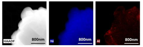 LiAlO2 표면 처리된 NCM 양극의 HAADF 촬영 이미지 및 양극 내 전이금속 Ni, 코팅물질의 Al 원소의 분포를 나타내는 EDS 맵핑 이미지
