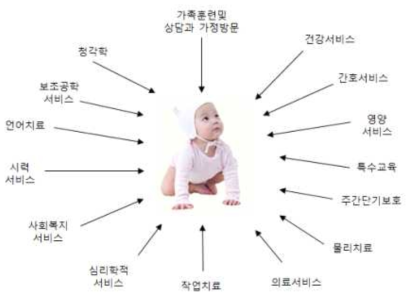 미국 장애인교육법 상의 장애 영아 서비스 내용