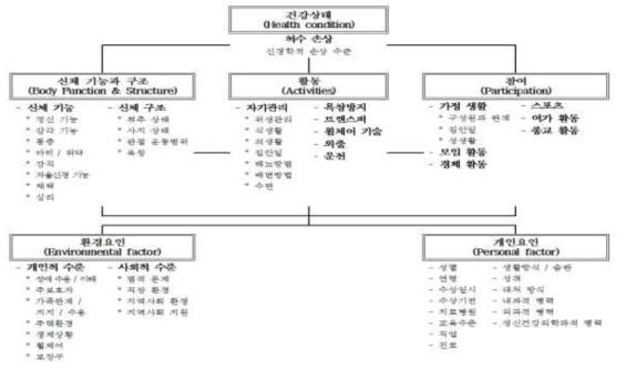 ICF Model 기반의 심층 면담 항목