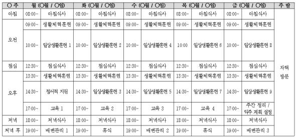 2~3주차 프로그램 스케줄의 예시