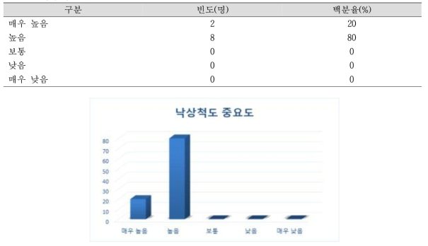 낙상척도 중요도 N=10