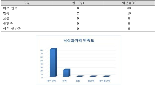 낙상과거력 만족도 N=10