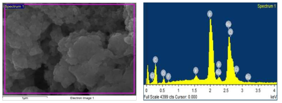 #5(Carbon Cloth, PTFE 15% w/w of Ir-Ru)의 SEM 및 EDS