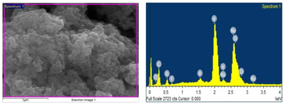 #6(PTFE 5% Carbon Cloth, PTFE 7% w/w of Ir-Ru)의 SEM 및 EDS