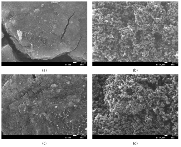 600JD 촉매의 SEM 촬영 사진 (a and b) PTFE 10%, (c and d) PTFE 60%