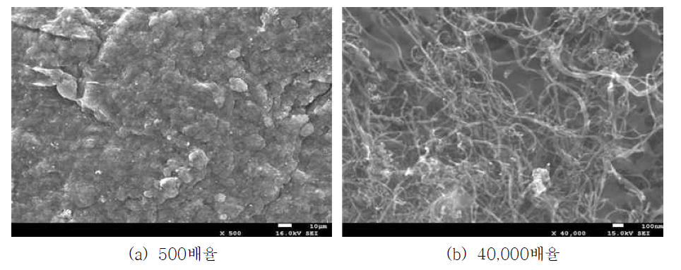 #1 GDE 샘플의 SEM 촬영 사진 (담지량 : 9.38 mg/cm2)
