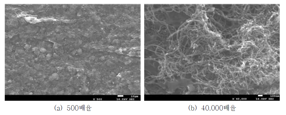 #3 GDE 샘플의 SEM 촬영 사진 (담지량 : 15.09 mg/cm2)