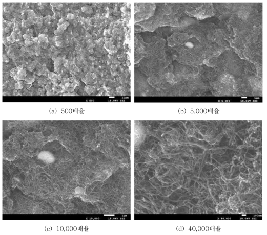 입자 길이가 ~10 ㎛인 CNT의 SEM 촬영 사진
