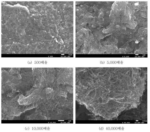 입자 길이가 ~1 ㎛인 CNT의 SEM 촬영 사진