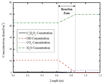 촉매산화시스템 내 화학종의 농도 분포