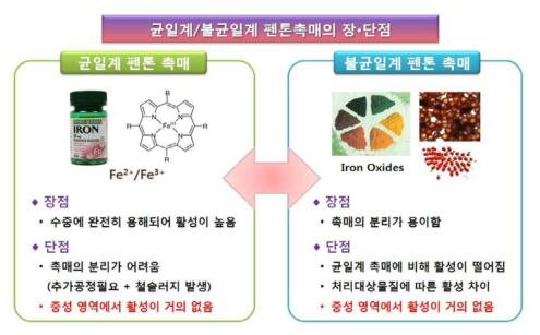 균일계 및 불균일계 펜톤 촉매의 장단점 비교