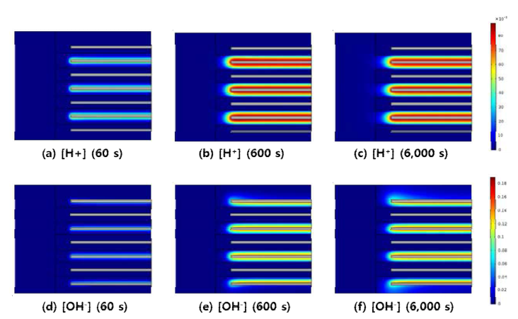 양극와 음극의 H+, OH- ion 분포 해석