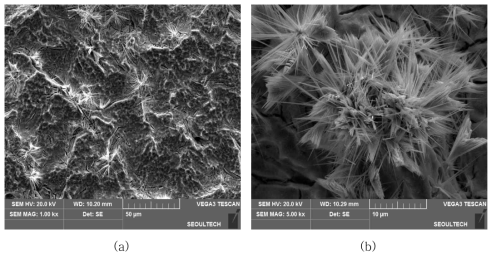 SEM of 500℃ 50% IrO2 + 50% WO3 / Ti ; (a) 1000배 (b) 5000배