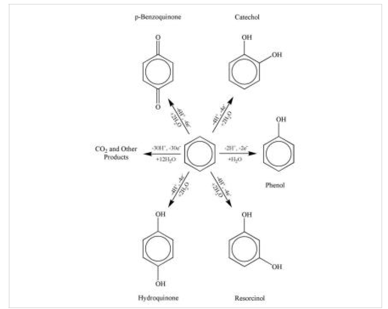 전극 상에서의 벤젠 산화 반응 메카니즘