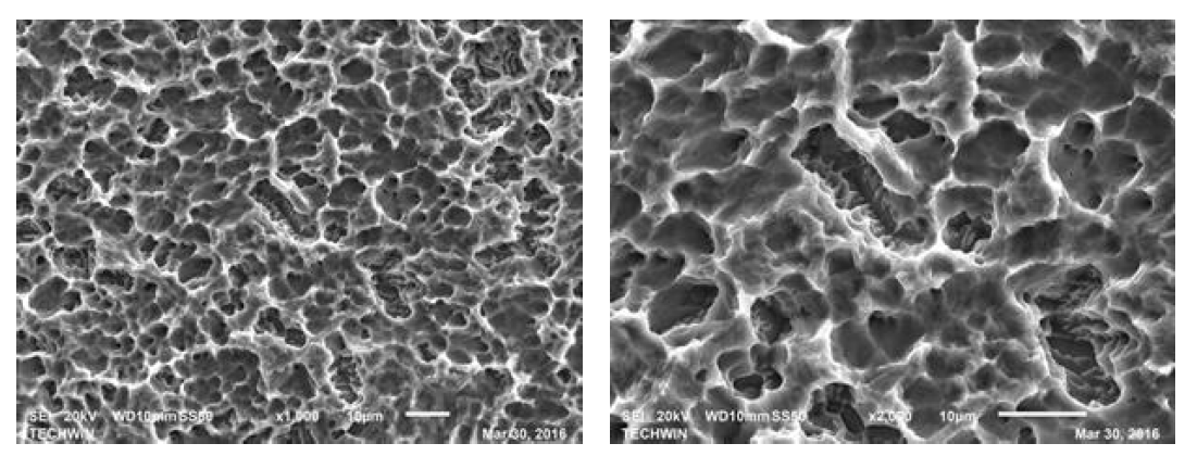 Sample 1 에칭 후 SEM Image(좌: ×1000, 우:×2000)