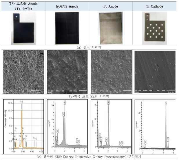 실험한 전극의 이미지와 EDS 분석결과