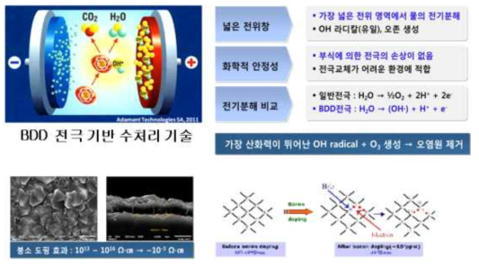 붕소 도핑 다이아몬드 전극의 특성