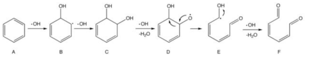 수산화라디칼에 의한 벤젠의 완전 산화